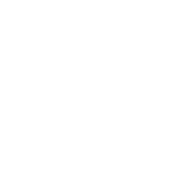 Orange Blossom Special Logo Schrift