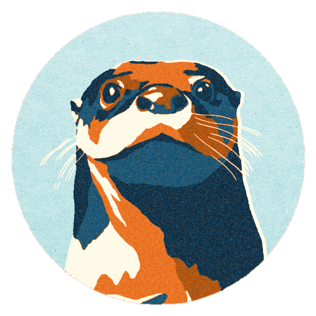 Dies ist das Logo des OBS 27, ein Otter.