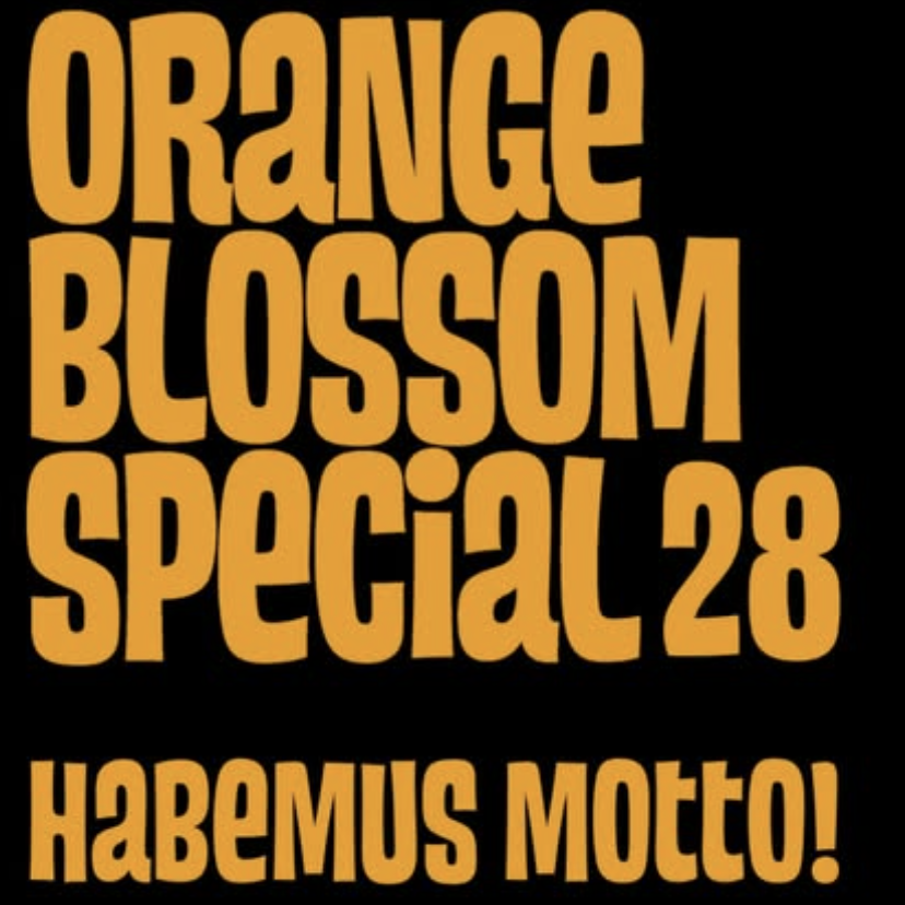 HABEMUS MOTTO