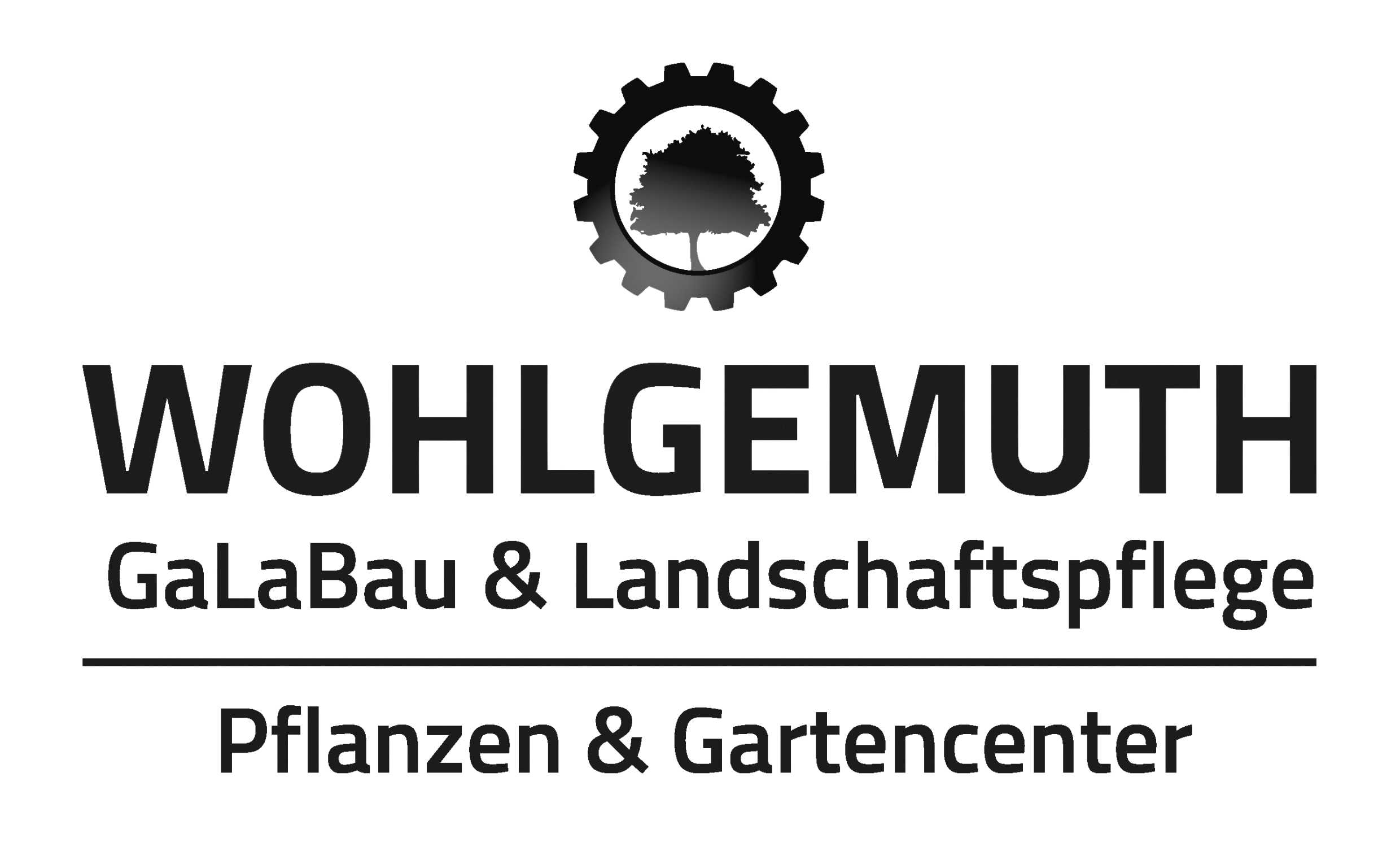 Dies ist das Logo des Sponsors Wohlgemuth des OBS 28.